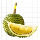 青尼榴莲